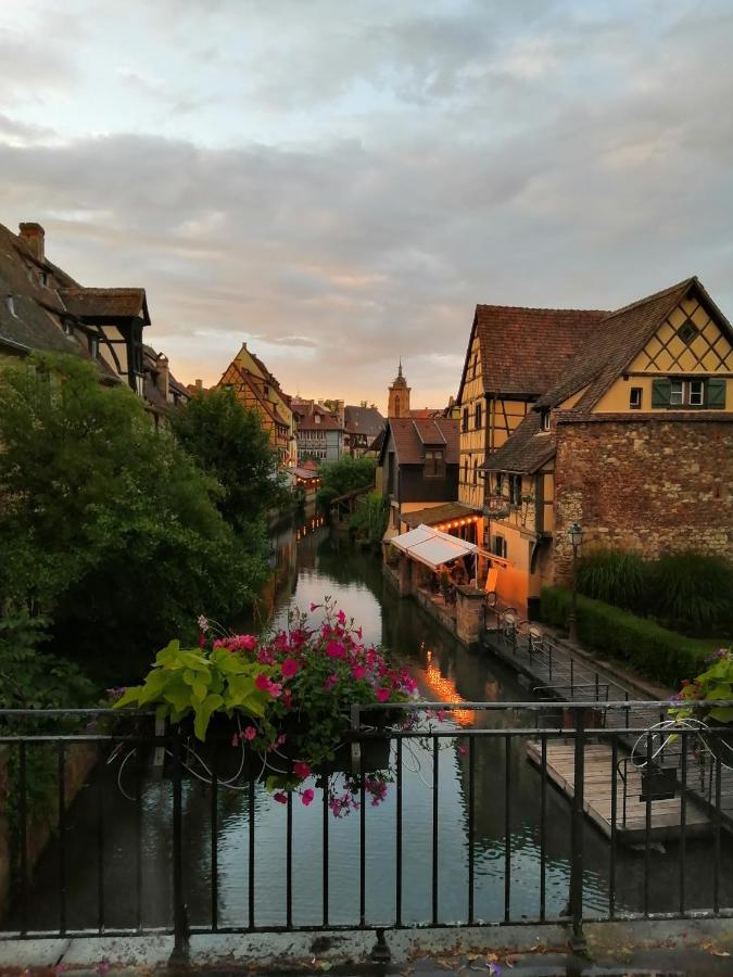 Ferienwohnung La Cour De Berthe Ouest Colmar Exterior foto